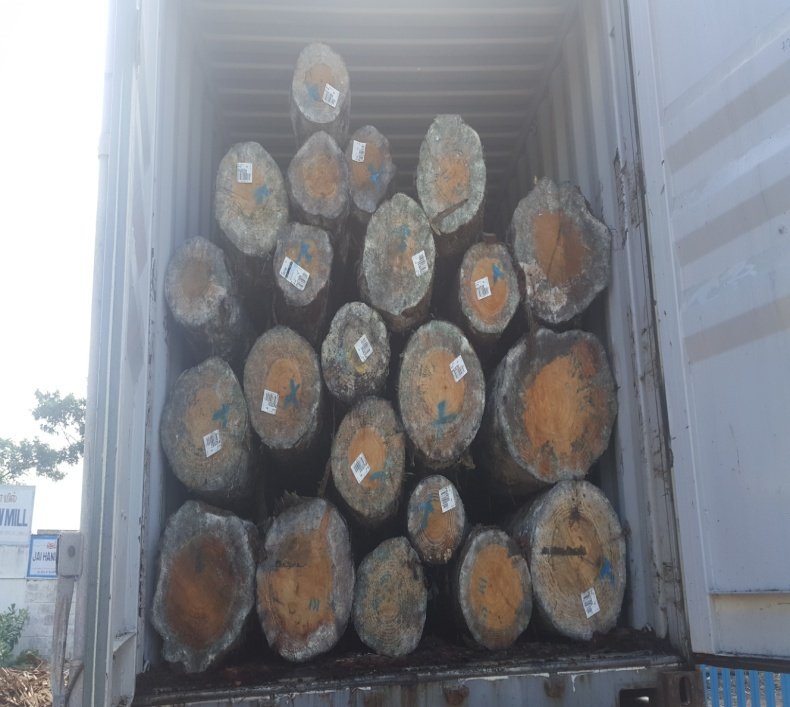 Timber Processing & Machine Sawing Line
